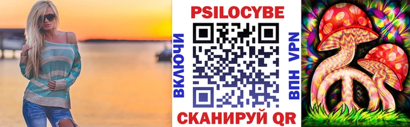 Галлюциногенные грибы Psilocybine cubensis  Находка 