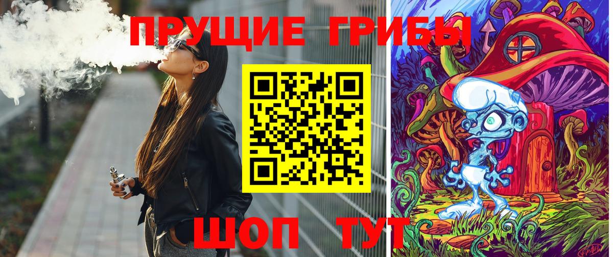Галлюциногенные грибы Psilocybine cubensis Находка
