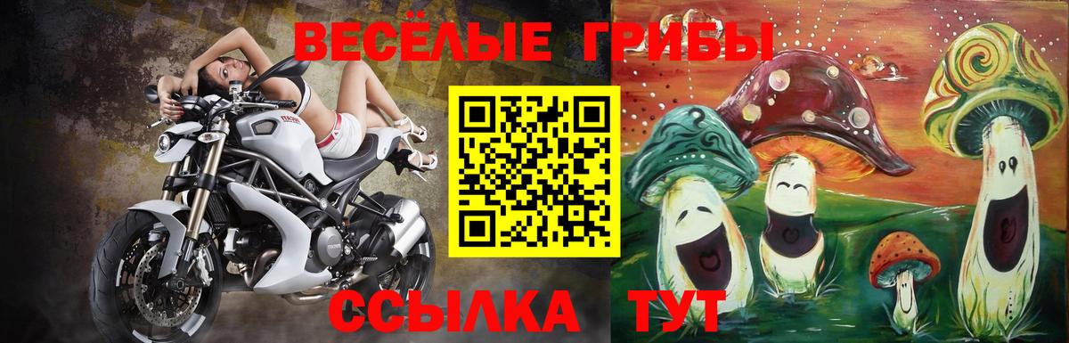 наркошоп  Галлюциногенные грибы Cubensis  Вход с VPN  Находка 